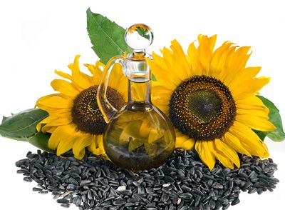 huile de tournesol